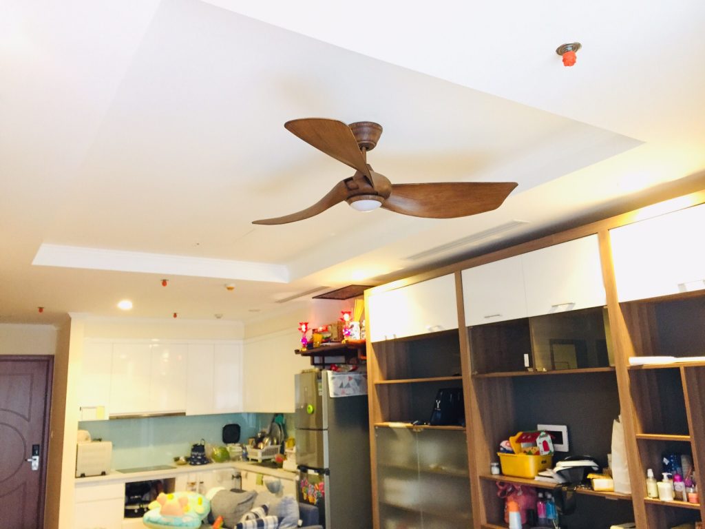 Quạt trần Melody