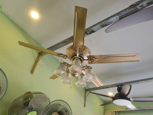 Tư vấn viên là người hỗ trợ bạn trong việc chọn mẫu quạt phù hợp